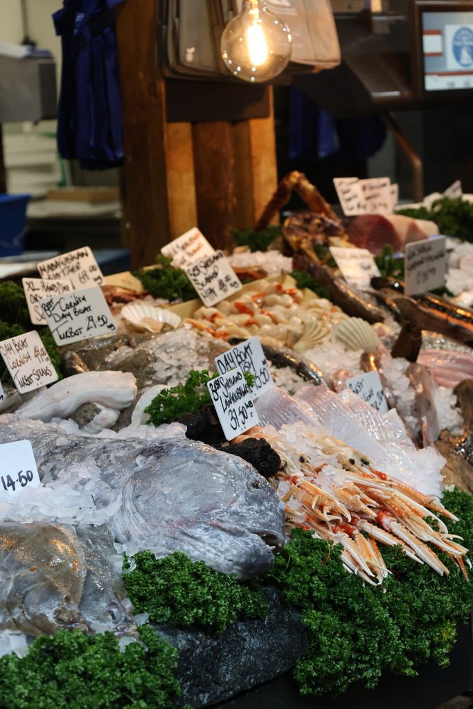 A variety of fresh seafood displayed on ice at an English market, showcasing diverse marine products.