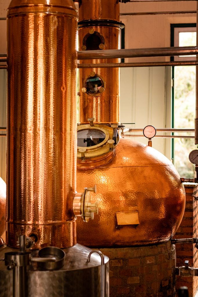 Close-up of copper distillation apparatus inside a distillery showcasing industrial craftsmanship.