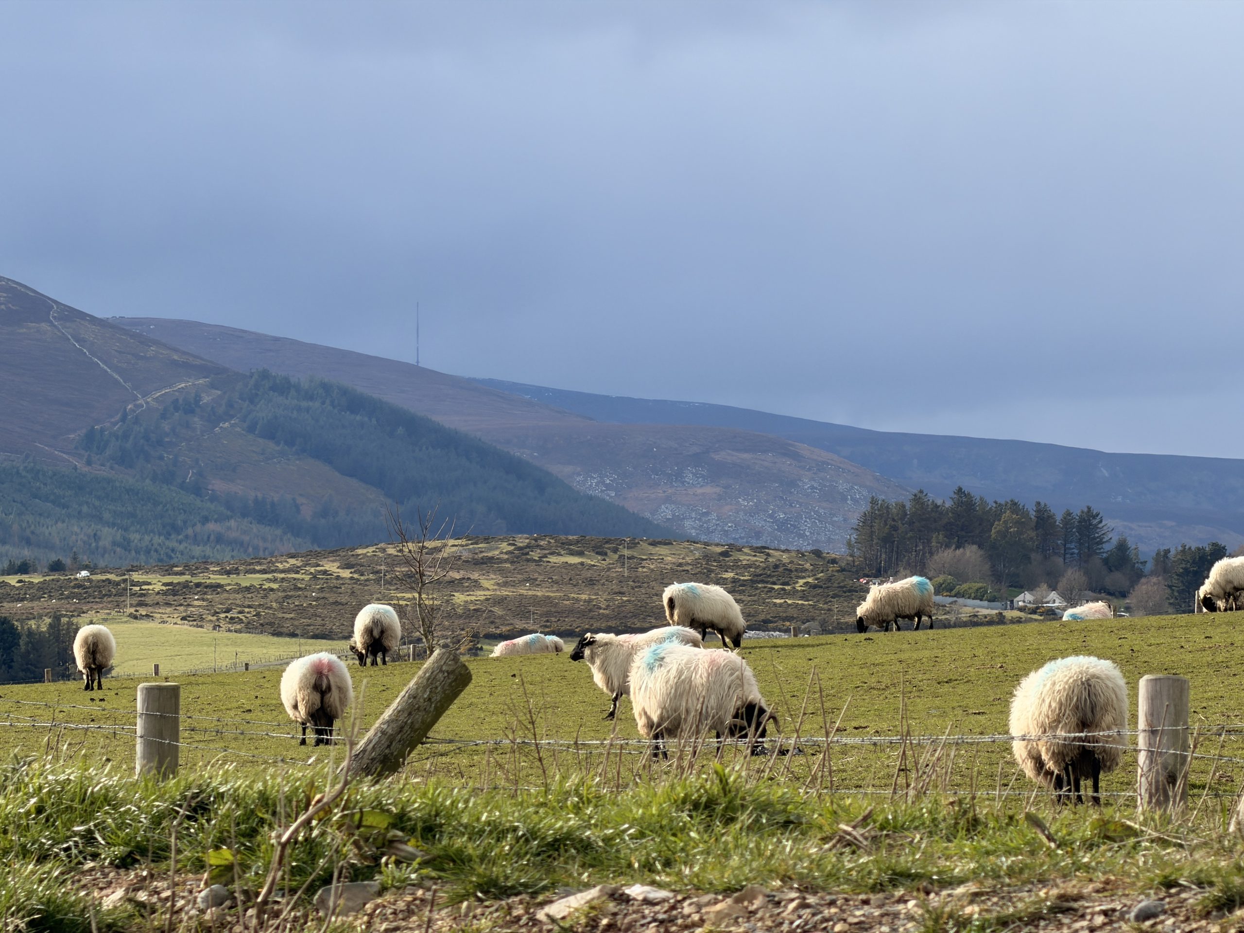 Where to stay in Wicklow Ireland